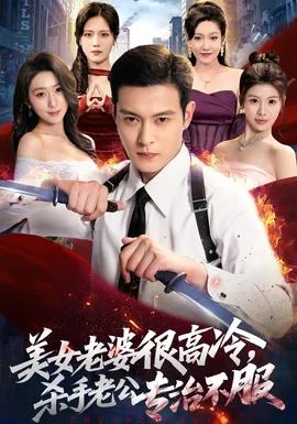 美女老婆很高冷，杀手老公专治不服